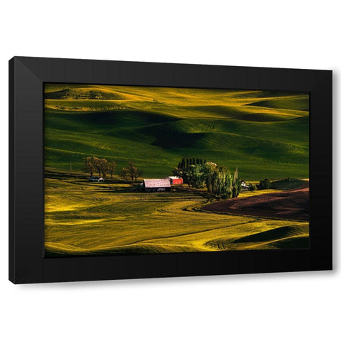 Palouse Wheat Fields Black Modern Wood Framed Art Print with Double Matting by Dickau, Kristel