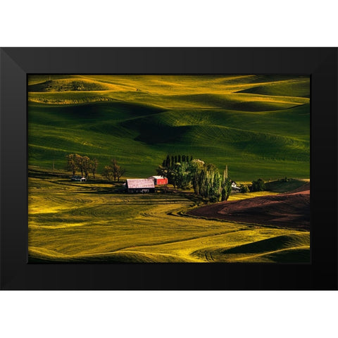 Palouse Wheat Fields Black Modern Wood Framed Art Print by Dickau, Kristel