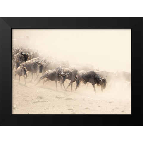 Dust And Dust Black Modern Wood Framed Art Print by Marx, Jaco