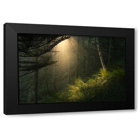 Spotlight. Black Modern Wood Framed Art Print with Double Matting by Sugita, Masaki