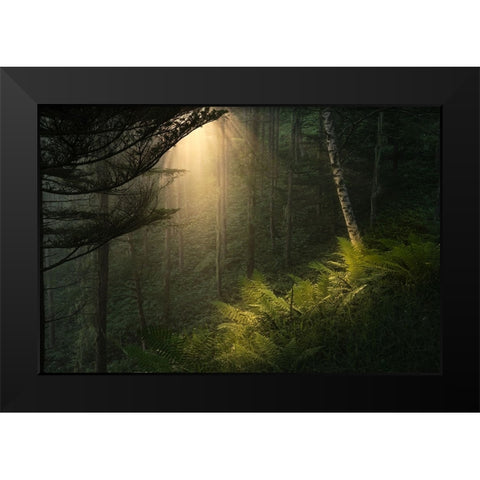 Spotlight. Black Modern Wood Framed Art Print by Sugita, Masaki
