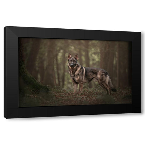 WhoS Afraid? Black Modern Wood Framed Art Print with Double Matting by Kuplenk, Nika