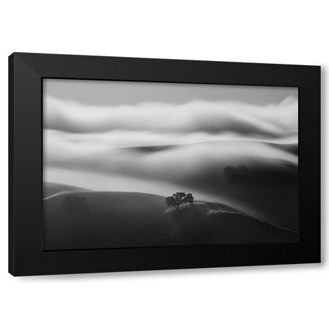 A Tree In Fog Black Modern Wood Framed Art Print by Mao, Dianne
