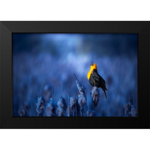 Sing A Song Black Modern Wood Framed Art Print by Zhao, Alex