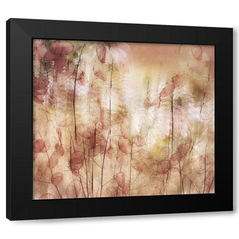 Seed Pods Black Modern Wood Framed Art Print with Double Matting by Talen, Nel