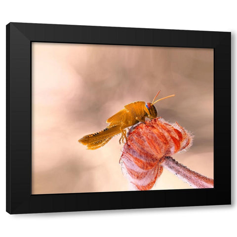Hamburger For The Meal... Black Modern Wood Framed Art Print with Double Matting by Dufour, Thierry
