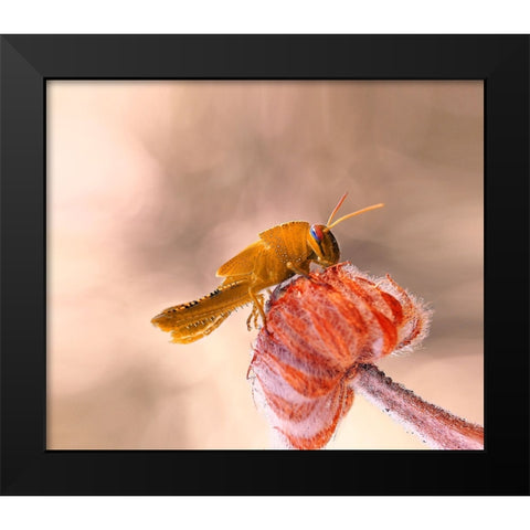 Hamburger For The Meal... Black Modern Wood Framed Art Print by Dufour, Thierry