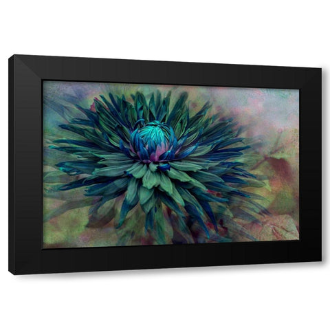 Twilight Black Modern Wood Framed Art Print with Double Matting by Parker, Jacky