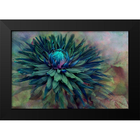 Twilight Black Modern Wood Framed Art Print by Parker, Jacky