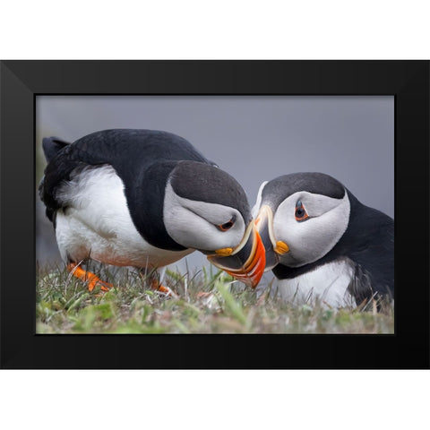 Whisper Black Modern Wood Framed Art Print by Fu, Molly