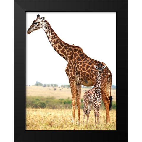 Hidden Gem Black Modern Wood Framed Art Print by Matt