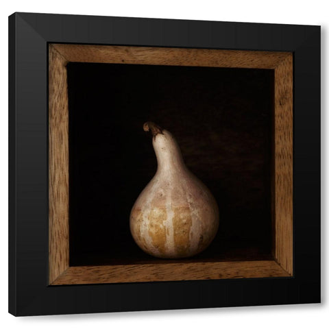 Gourd In A Box Black Modern Wood Framed Art Print with Double Matting by Gronkjar, Lotte