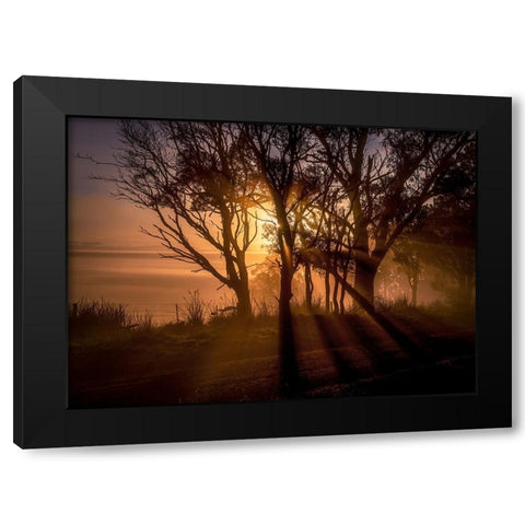 Sunrise Over Morning Mist Black Modern Wood Framed Art Print by Ma, Frank