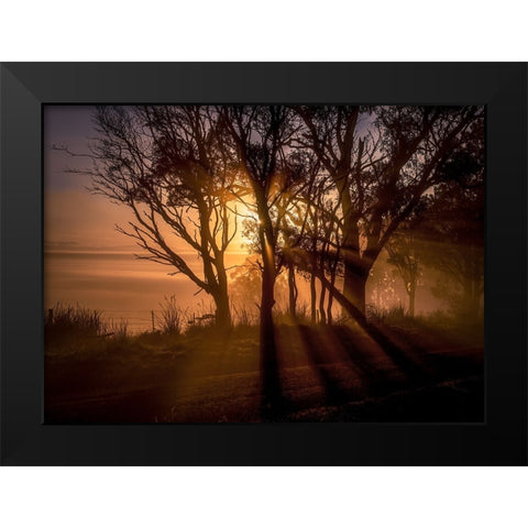 Sunrise Over Morning Mist Black Modern Wood Framed Art Print by Ma, Frank
