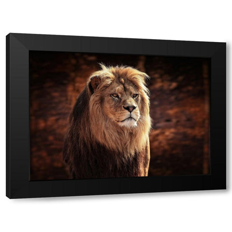 HIS MAJESTY, THE KING Black Modern Wood Framed Art Print with Double Matting by Wenner-Braun, Antje