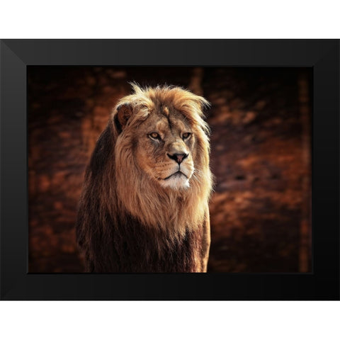 HIS MAJESTY, THE KING Black Modern Wood Framed Art Print by Wenner-Braun, Antje