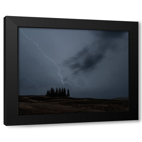 Cipressini Fulminati Black Modern Wood Framed Art Print by Domenichi, Luca