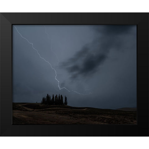 Cipressini Fulminati Black Modern Wood Framed Art Print by Domenichi, Luca
