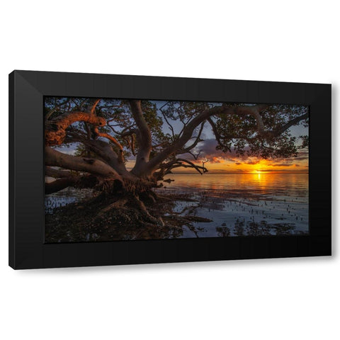 Sunrise At Nudgee Beach Black Modern Wood Framed Art Print by Papamanolis, Emanuel