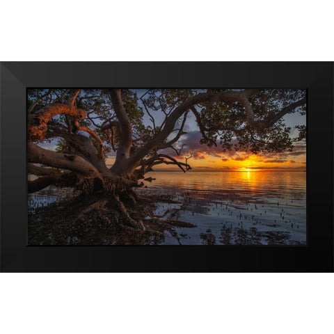 Sunrise At Nudgee Beach Black Modern Wood Framed Art Print by Papamanolis, Emanuel