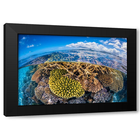 At Low Tide Black Modern Wood Framed Art Print with Double Matting by Gabriel, Barathieu