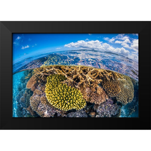 At Low Tide Black Modern Wood Framed Art Print by Gabriel, Barathieu