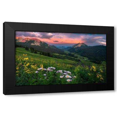 Blooming In The Valley Black Modern Wood Framed Art Print by Xu, Mei