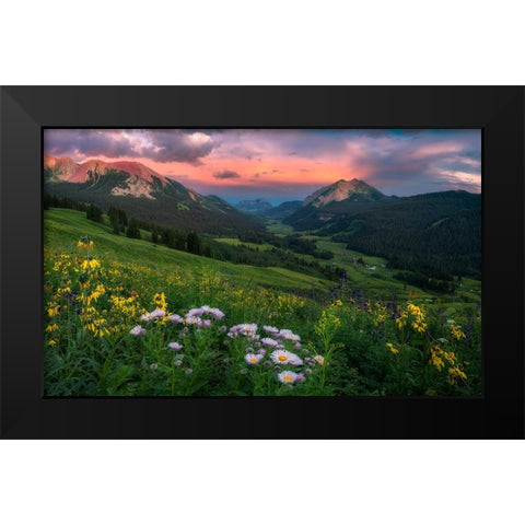 Blooming In The Valley Black Modern Wood Framed Art Print by Xu, Mei