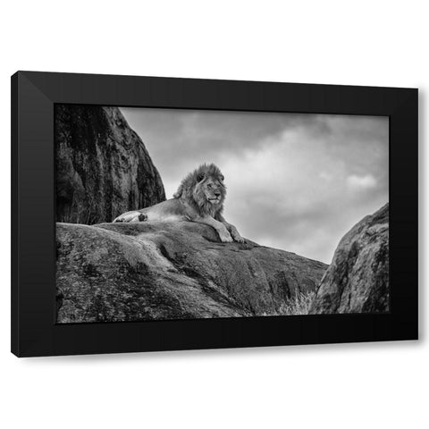 The King! Black Modern Wood Framed Art Print with Double Matting by Khataw, Ali