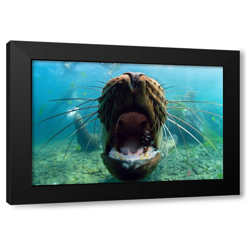 Just Kiss Black Modern Wood Framed Art Print by Narchuk, Andrey