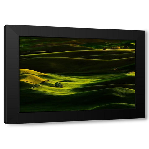 Palouse Wheat Fields Black Modern Wood Framed Art Print with Double Matting by Dickau, Kristel