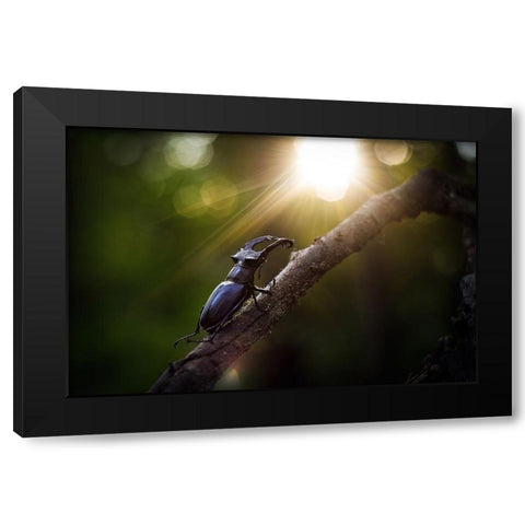 Way To The Sun Black Modern Wood Framed Art Print with Double Matting by Bykanova, Victoria