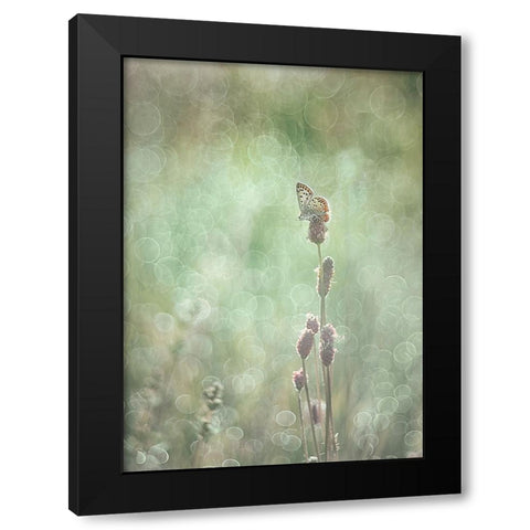 Bubbleliscious Black Modern Wood Framed Art Print with Double Matting by Van Helden, Elisabeth