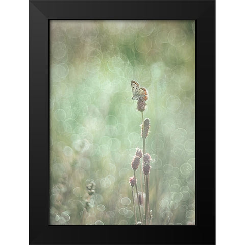 Bubbleliscious Black Modern Wood Framed Art Print by Van Helden, Elisabeth