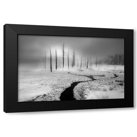 Winter Solstice Black Modern Wood Framed Art Print by An, Anna