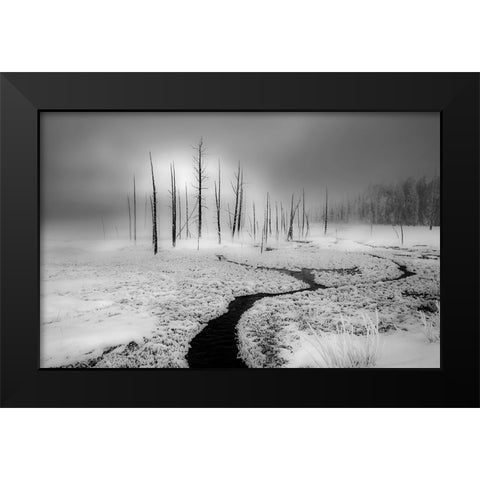 Winter Solstice Black Modern Wood Framed Art Print by An, Anna