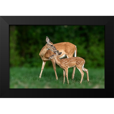Mom And Baby Black Modern Wood Framed Art Print by Xu, Jian