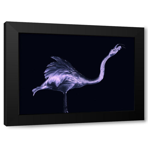 Silver Flamingo Black Modern Wood Framed Art Print with Double Matting by Tsikiridis, Georgios