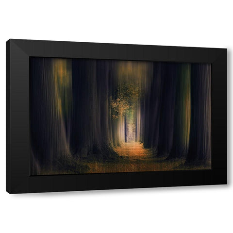 Infinity Black Modern Wood Framed Art Print with Double Matting by Van Der, Jan