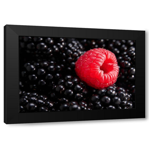 Berry different Black Modern Wood Framed Art Print by Sokac, Drazen