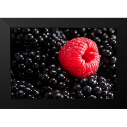 Berry different Black Modern Wood Framed Art Print by Sokac, Drazen