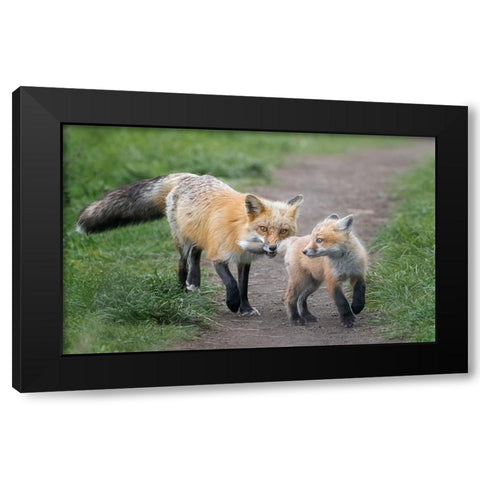 AÂ€ÂœI Catch You!AÂ€Â Black Modern Wood Framed Art Print with Double Matting by Zhang, Joan