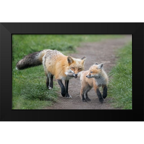 AÂ€ÂœI Catch You!AÂ€Â Black Modern Wood Framed Art Print by Zhang, Joan