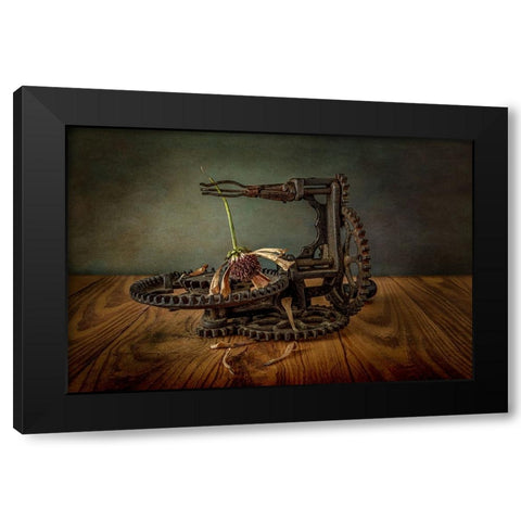 Going To Seed Black Modern Wood Framed Art Print with Double Matting by Berberich, Matthew
