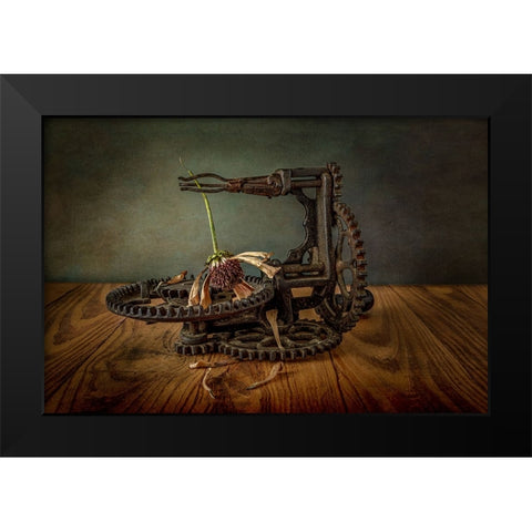 Going To Seed Black Modern Wood Framed Art Print by Berberich, Matthew