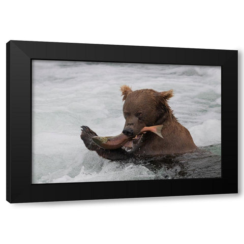 Fresh Salmon Black Modern Wood Framed Art Print with Double Matting by Tracy