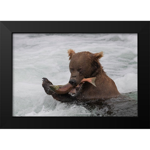 Fresh Salmon Black Modern Wood Framed Art Print by Tracy
