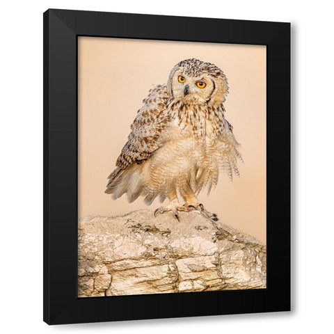 New Hair Cut.! Black Modern Wood Framed Art Print with Double Matting by Elkahlawi, Ahmed