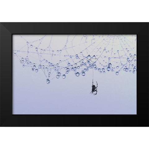 Trasparency Black Modern Wood Framed Art Print by Pizzocaro, Giorgio