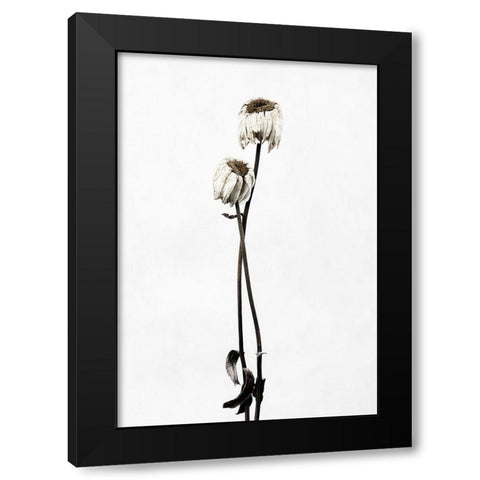 Drought Black Modern Wood Framed Art Print with Double Matting by Gronkjar, Lotte